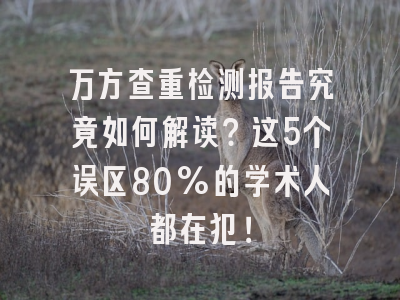 万方查重检测报告究竟如何解读？这5个误区80%的学术人都在犯！