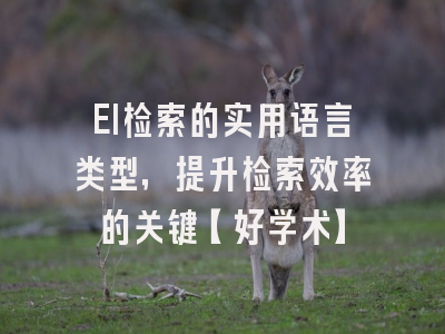 EI检索的实用语言类型，提升检索效率的关键【好学术】