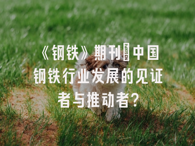 《钢铁》期刊：中国钢铁行业发展的见证者与推动者？