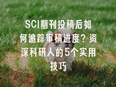 SCI期刊投稿后如何追踪审稿进度？资深科研人的5个实用技巧