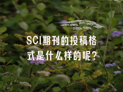 SCI期刊的投稿格式是什么样的呢？
