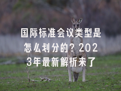 国际标准会议类型是怎么划分的？2023年最新解析来了