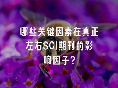 哪些关键因素在真正左右SCI期刊的影响因子？