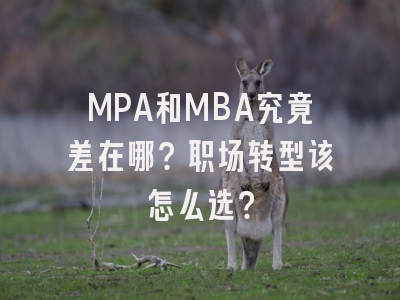 MPA和MBA究竟差在哪？职场转型该怎么选？