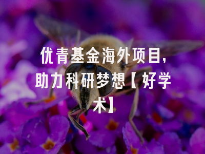 优青基金海外项目，助力科研梦想【好学术】