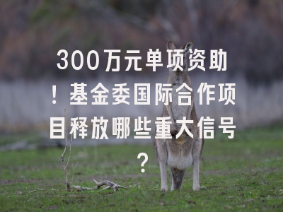 300万元单项资助！基金委国际合作项目释放哪些重大信号？