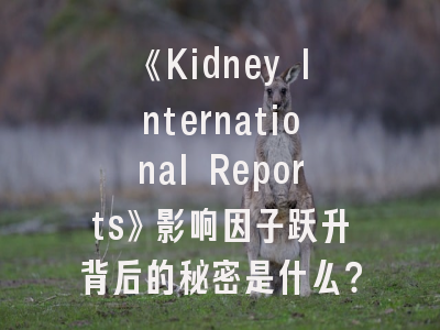 《Kidney International Reports》影响因子跃升背后的秘密是什么？