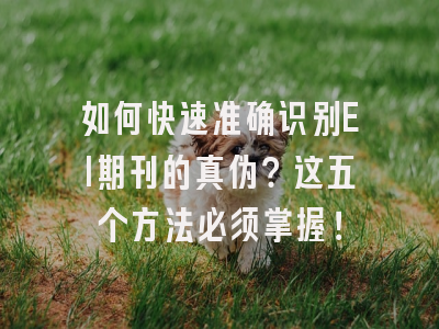 如何快速准确识别EI期刊的真伪？这五个方法必须掌握！