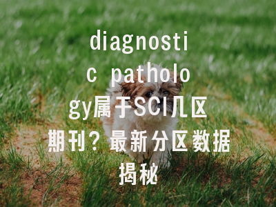 diagnostic pathology属于SCI几区期刊？最新分区数据揭秘