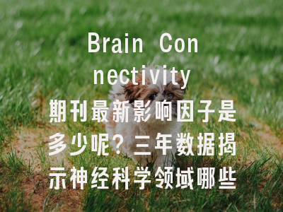 Brain Connectivity期刊最新影响因子是多少呢？三年数据揭示神经科学领域哪些变化？