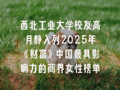 西北工业大学校友高月静入列2025年《财富》中国最具影响力的商界女性榜单