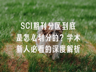 SCI期刊分区到底是怎么划分的？学术新人必看的深度解析
