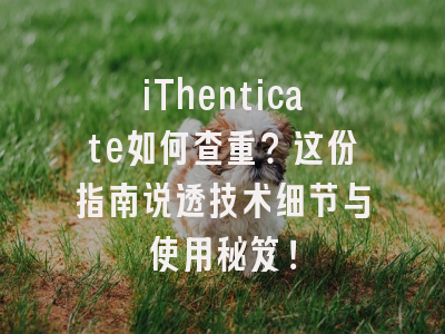 iThenticate如何查重？这份指南说透技术细节与使用秘笈！