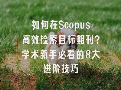 如何在Scopus高效检索目标期刊？学术新手必看的8大进阶技巧