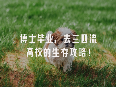 博士毕业，去三四流高校的生存攻略！