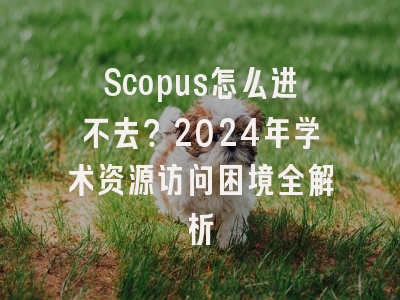 Scopus怎么进不去？2024年学术资源访问困境全解析