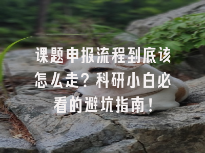 课题申报流程到底该怎么走？科研小白必看的避坑指南！