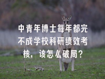 中青年博士每年都完不成学校科研绩效考核，该怎么破局？