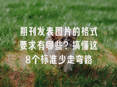 期刊发表图片的格式要求有哪些？搞懂这8个标准少走弯路