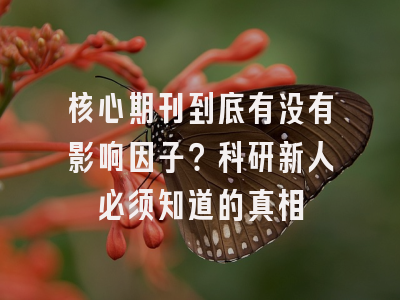 核心期刊到底有没有影响因子？科研新人必须知道的真相