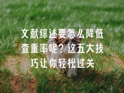 文献综述要怎么降低查重率呢？这五大技巧让你轻松过关