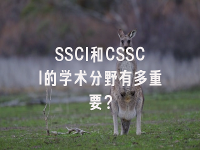 SSCI和CSSCI的学术分野有多重要？