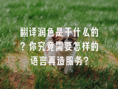 翻译润色是干什么的？你究竟需要怎样的语言再造服务？