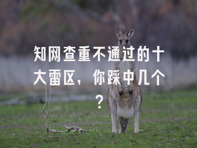 知网查重不通过的十大雷区，你踩中几个？