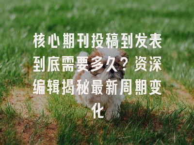 核心期刊投稿到发表到底需要多久？资深编辑揭秘最新周期变化
