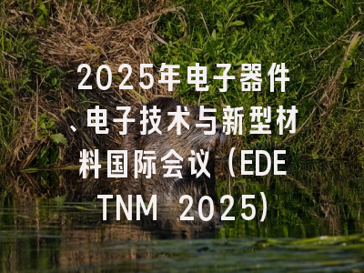 2025年电子器件、电子技术与新型材料国际会议（EDETNM 2025）