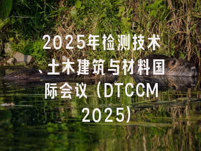 2025年检测技术、土木建筑与材料国际会议（DTCCM 2025）