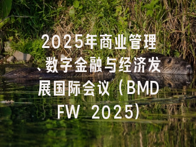 2025年商业管理、数字金融与经济发展国际会议（BMDFW 2025）