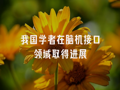 我国学者在脑机接口领域取得进展