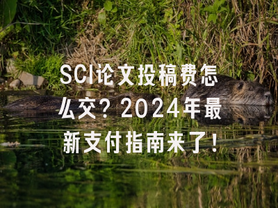 SCI论文投稿费怎么交？2024年最新支付指南来了！