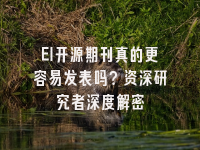 学术会议在线