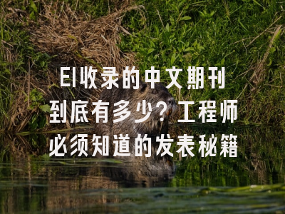 EI收录的中文期刊到底有多少？工程师必须知道的发表秘籍