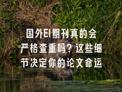 国外EI期刊真的会严格查重吗？这些细节决定你的论文命运