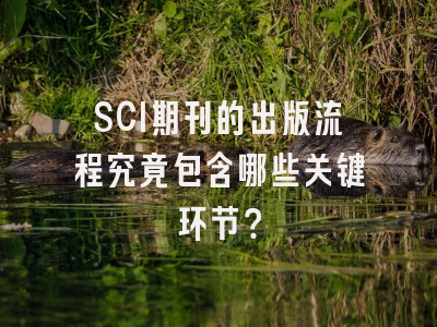 SCI期刊的出版流程究竟包含哪些关键环节？