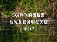 学术会议在线