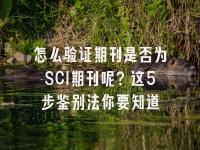 学术会议在线