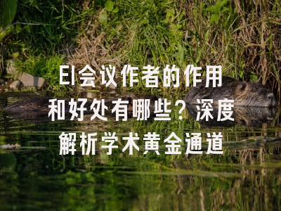 EI会议作者的作用和好处有哪些？深度解析学术黄金通道