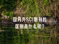学术会议在线