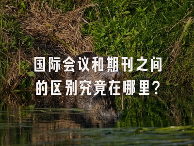 国际会议和期刊之间的区别究竟在哪里？