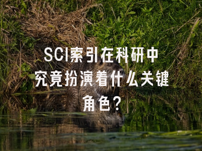 SCI索引在科研中究竟扮演着什么关键角色？