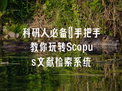 科研人必备：手把手教你玩转Scopus文献检索系统