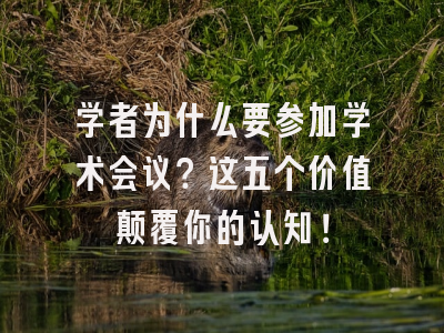 学者为什么要参加学术会议？这五个价值颠覆你的认知！