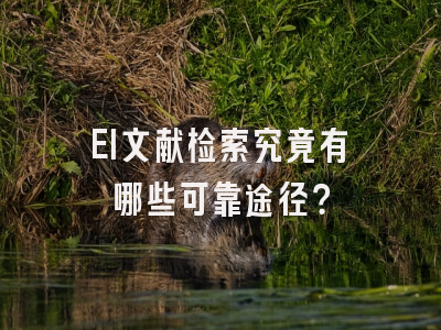 EI文献检索究竟有哪些可靠途径？