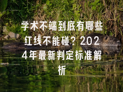 学术不端到底有哪些红线不能碰？2024年最新判定标准解析