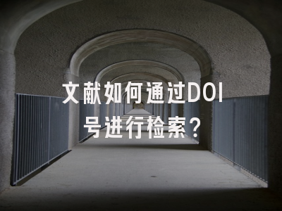 文献如何通过DOI号进行检索？