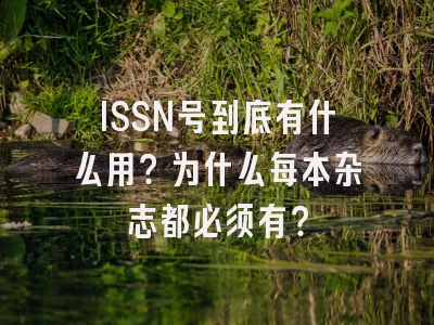 ISSN号到底有什么用？为什么每本杂志都必须有？